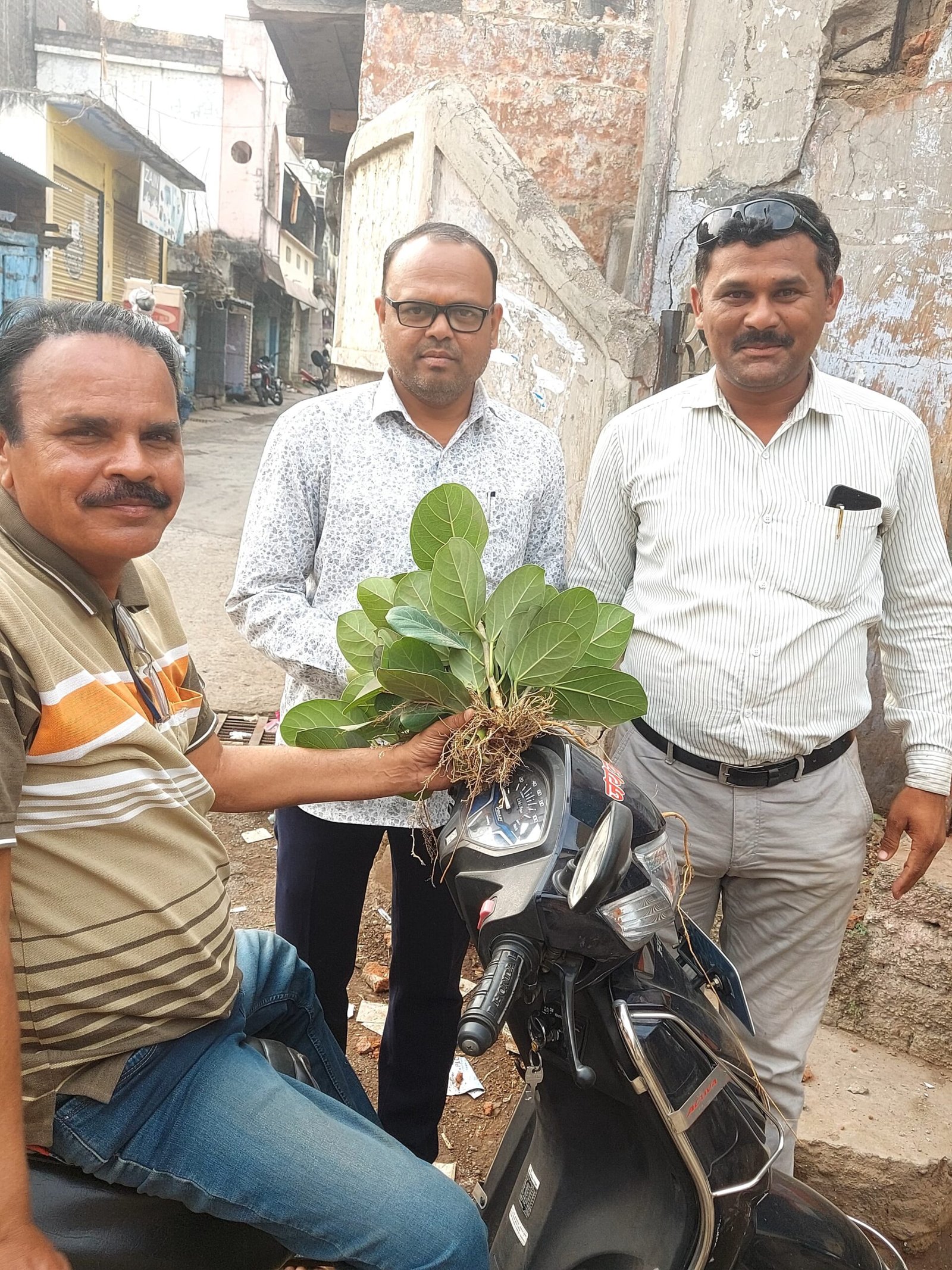 विचार विकास मंदिर वाचनालय कंधार येथील वटवृक्षाची भींतीतली ८ रोपे अलगद काढून,प्रत्यारोपणासाठी रवाना!